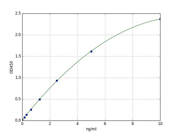 Human MCM3 (Minichromosome maintenance complex component 3) ELISA Kit (HUFI07664)