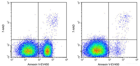 Annexin V-EV450/7-AAD Apoptosis Kit