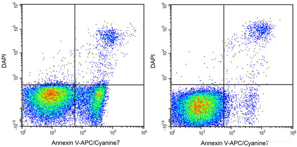 Annexin V-APC/Cyanine7/DAPI Apoptosis Kit