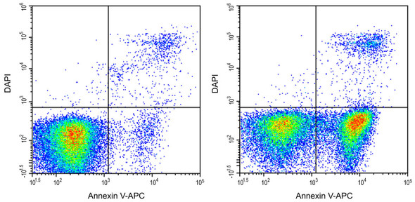 DAPI Staining Solution (25μg/mL)