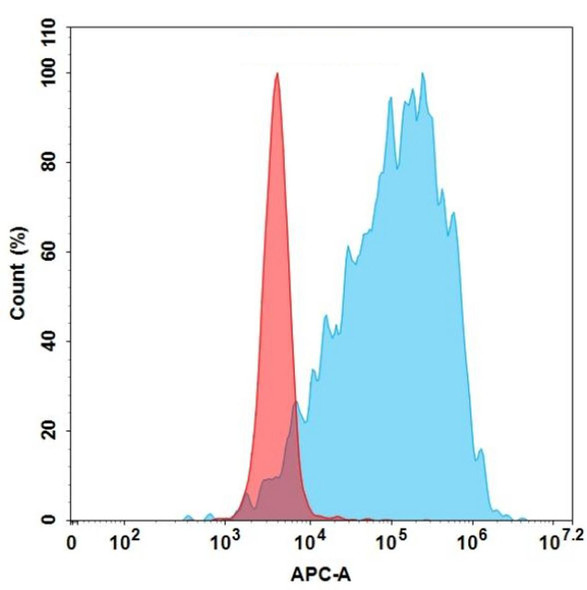 Anti-ADAM9 (IMGC936) Biosimilar Antibody