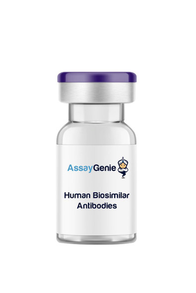 Adalimumab (Anti-TNF alpha) Biosimilar In Vivo Antibody (Fc Reduced)