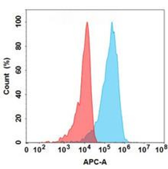 Vesencumab (Anti-NRP1) Biosimilar Antibody