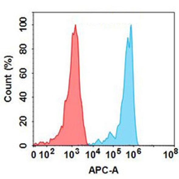 XENP28278 (Anti-ENPP3) Biosimilar Antibody