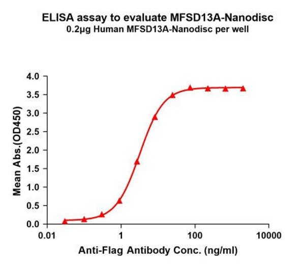 Human MFSD13A Full-Length Bioactive Membrane Protein (HDFP087)