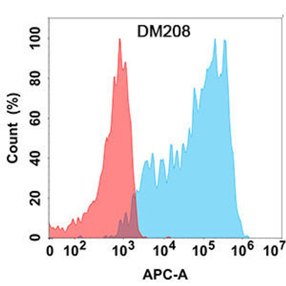 Anti-CXCR3 Recombinant Rabbit Monoclonal Antibody (HDAB0199)