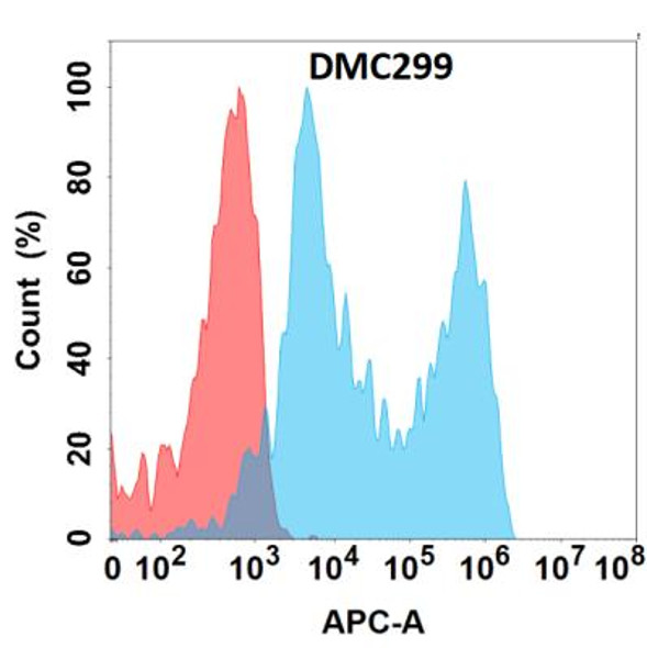 Anti-B7-H5 Chimeric Recombinant Rabbit Monoclonal Antibody (HDAB0248)