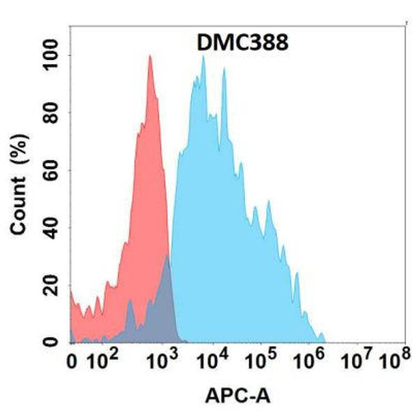 Anti-EDA Chimeric Recombinant Rabbit Monoclonal Antibody (HDAB0256)
