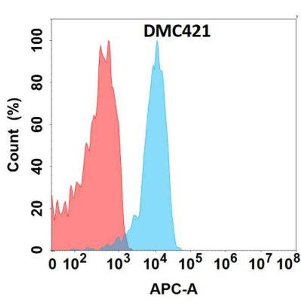 Anti-FLT3LG Chimeric Recombinant Rabbit Monoclonal Antibody (HDAB0265)