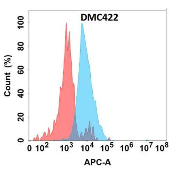Anti-IGFBP7 Chimeric Recombinant Rabbit Monoclonal Antibody (HDAB0266)