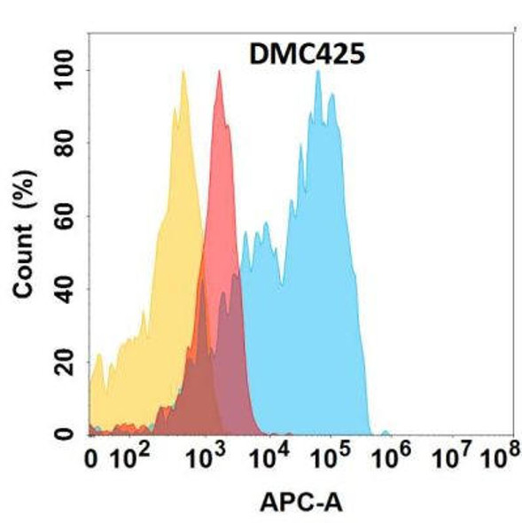 Anti-CD63 Chimeric Recombinant Rabbit Monoclonal Antibody (HDAB0269)