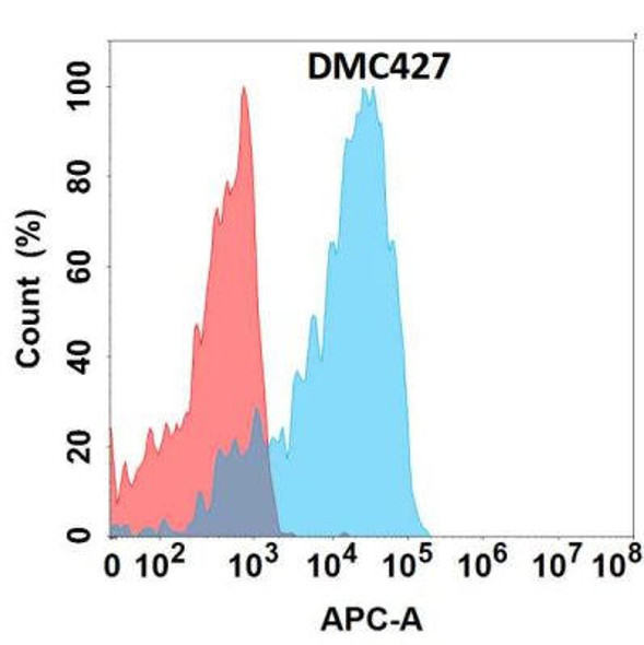 Anti-GP6 Chimeric Recombinant Rabbit Monoclonal Antibody (HDAB0271)