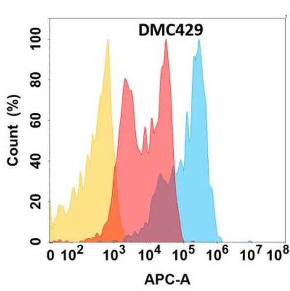 Anti-CD81 Chimeric Recombinant Rabbit Monoclonal Antibody (HDAB0273)