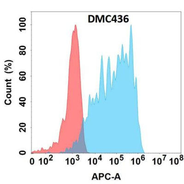 Anti-CD83 Chimeric Recombinant Rabbit Monoclonal Antibody (HDAB0274)