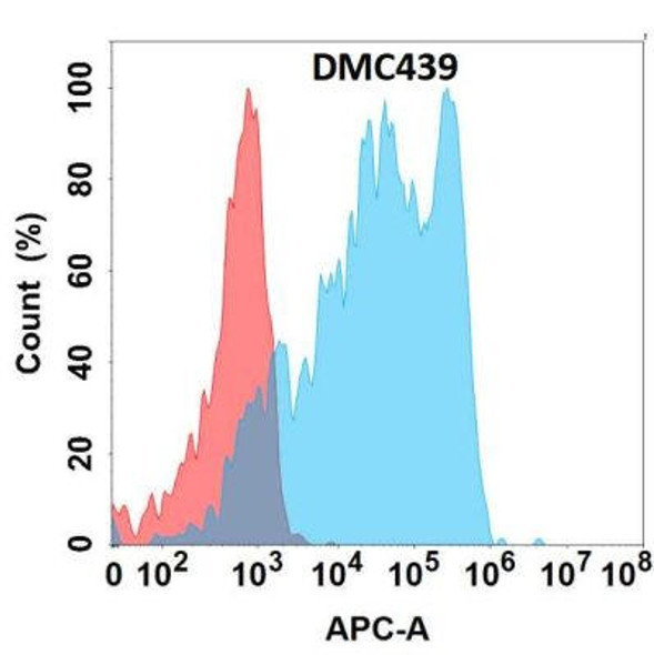 Anti-CD62L Chimeric Recombinant Rabbit Monoclonal Antibody (HDAB0277)