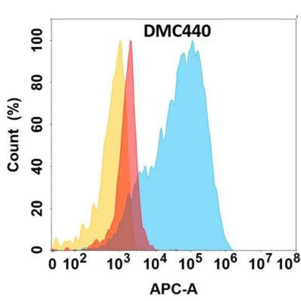 Anti-UPA Chimeric Recombinant Rabbit Monoclonal Antibody (HDAB0278)