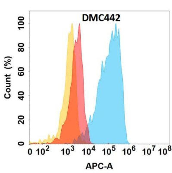 Anti-CHODL Chimeric Recombinant Rabbit Monoclonal Antibody (HDAB0280)