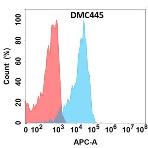 Anti-SLAMF1 Chimeric Recombinant Rabbit Monoclonal Antibody (HDAB0283)