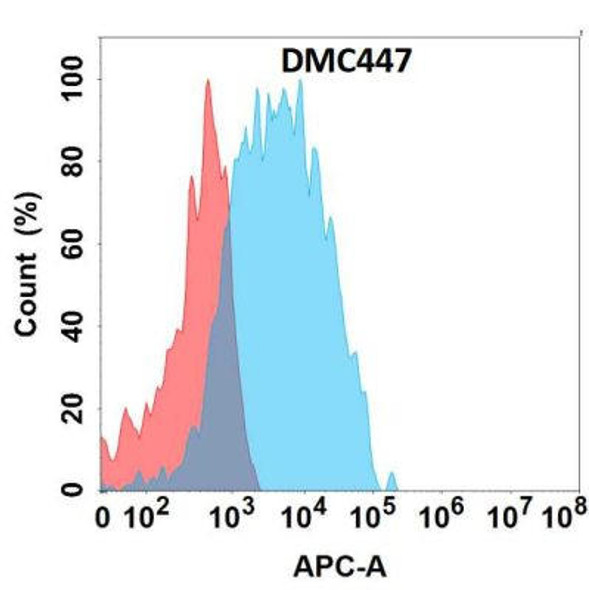 Anti-CCR2 Chimeric Recombinant Rabbit Monoclonal Antibody (HDAB0285)
