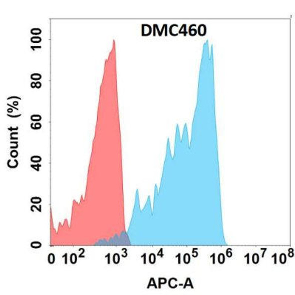 Anti-FGFR4 Chimeric Recombinant Rabbit Monoclonal Antibody (HDAB0286)