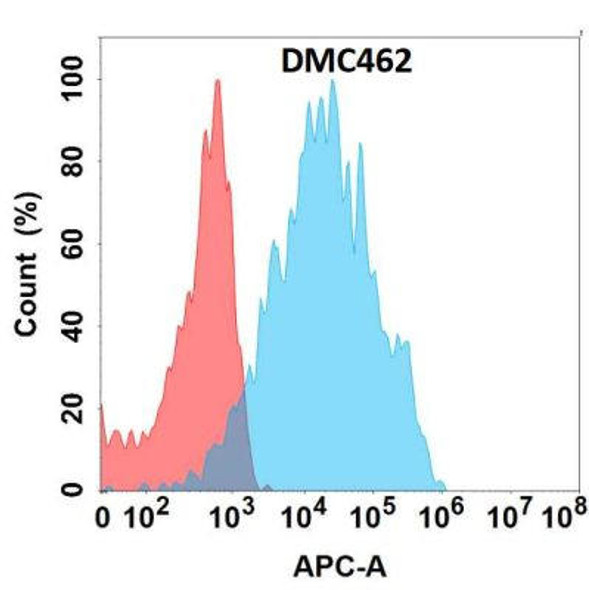Anti-PRLR Chimeric Recombinant Rabbit Monoclonal Antibody (HDAB0288)