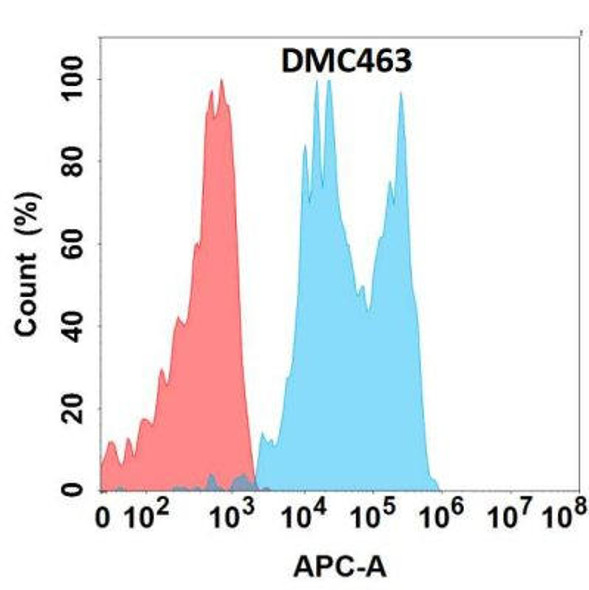 Anti-CD142 Chimeric Recombinant Rabbit Monoclonal Antibody (HDAB0289)