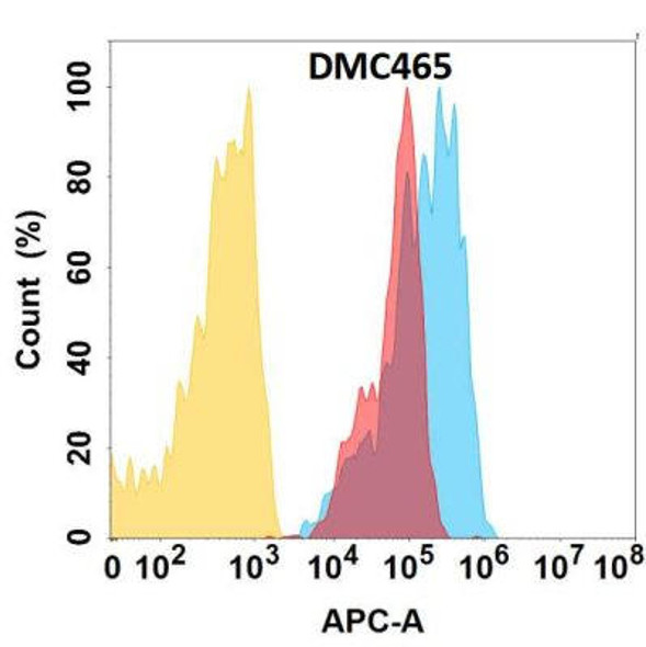 Anti-CCR1 Chimeric Recombinant Rabbit Monoclonal Antibody (HDAB0291)