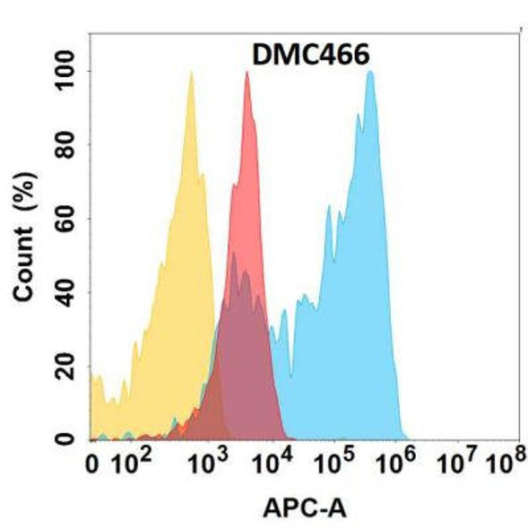 Anti-CSPG4 Chimeric Recombinant Rabbit Monoclonal Antibody (HDAB0292)