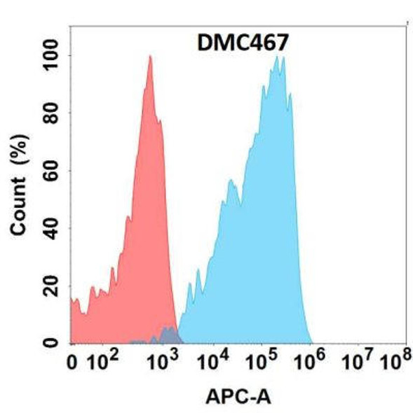 Anti-TGFBR2 Chimeric Recombinant Rabbit Monoclonal Antibody (HDAB0293)