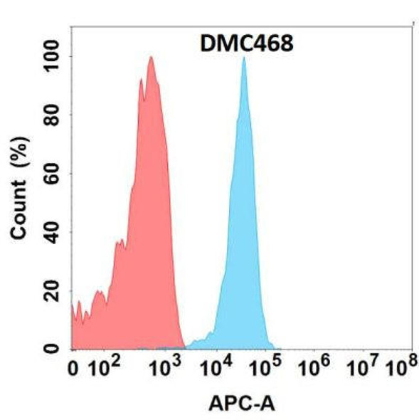 Anti-CLEC1A Chimeric Recombinant Rabbit Monoclonal Antibody (HDAB0294)