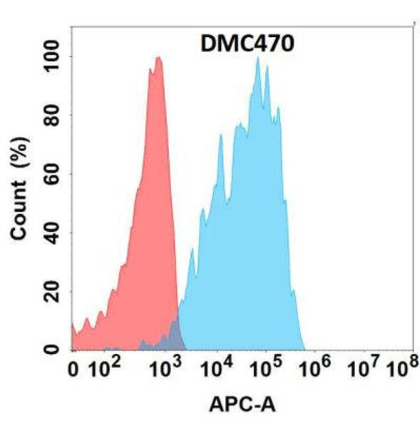 Anti-CXCR1 Chimeric Recombinant Rabbit Monoclonal Antibody (HDAB0296)