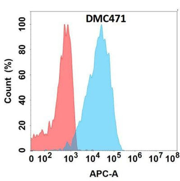 Anti-IL22 Chimeric Recombinant Rabbit Monoclonal Antibody (HDAB0297)