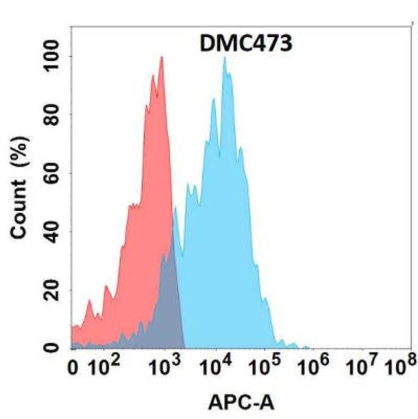 Anti-EMCN Chimeric Recombinant Rabbit Monoclonal Antibody (HDAB0299)