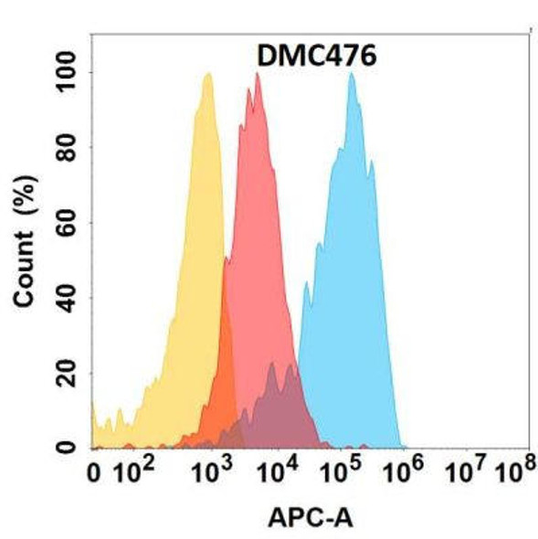 Anti-CD164 Chimeric Recombinant Rabbit Monoclonal Antibody (HDAB0302)