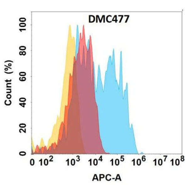 Anti-CCR6 Chimeric Recombinant Rabbit Monoclonal Antibody (HDAB0303)