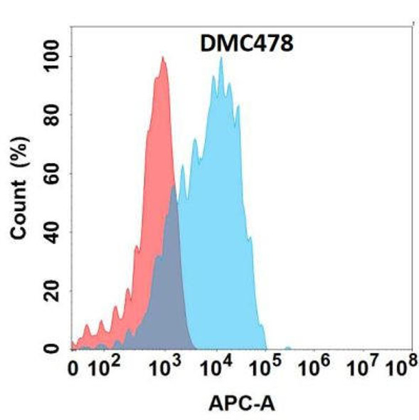 Anti-GPR87 Chimeric Recombinant Rabbit Monoclonal Antibody (HDAB0304)