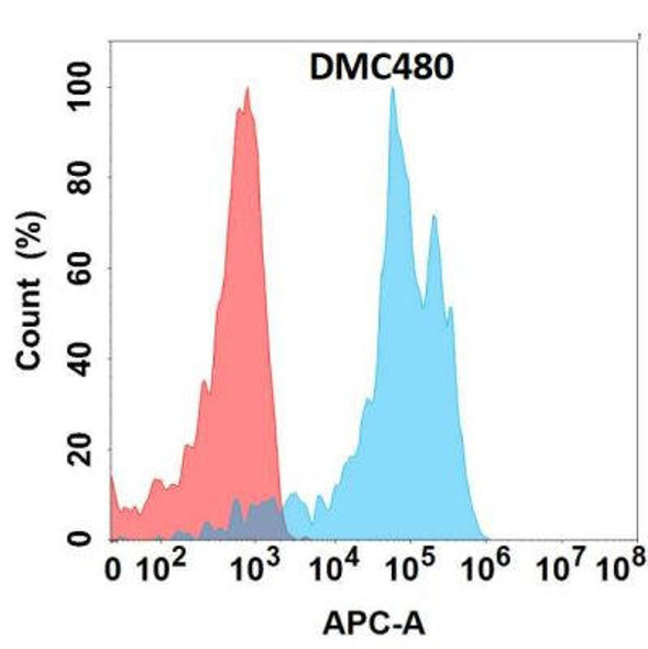 Anti-DDR1 Chimeric Recombinant Rabbit Monoclonal Antibody (HDAB0306)