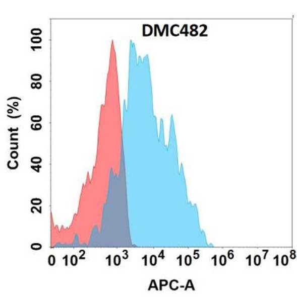 Anti-GPR77 Chimeric Recombinant Rabbit Monoclonal Antibody (HDAB0308)