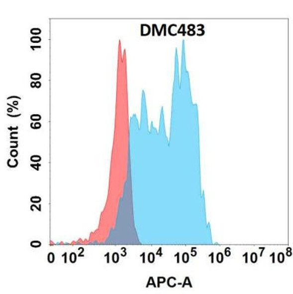 Anti-CHI3L1 Chimeric Recombinant Rabbit Monoclonal Antibody (HDAB0309)
