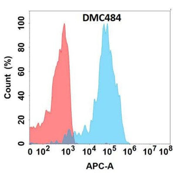 Anti-CDH1 Chimeric Recombinant Rabbit Monoclonal Antibody (HDAB0310)