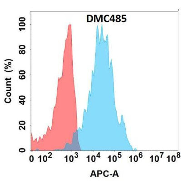 Anti-CDH17 Chimeric Recombinant Rabbit Monoclonal Antibody (HDAB0311)