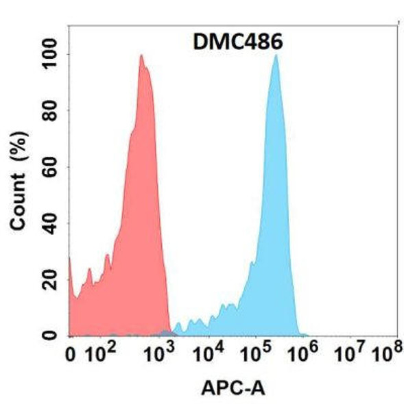 Anti-CDH23 Chimeric Recombinant Rabbit Monoclonal Antibody (HDAB0312)