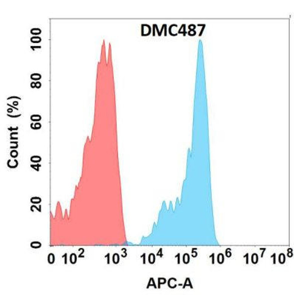 Anti-FZD10 Chimeric Recombinant Rabbit Monoclonal Antibody (HDAB0313)