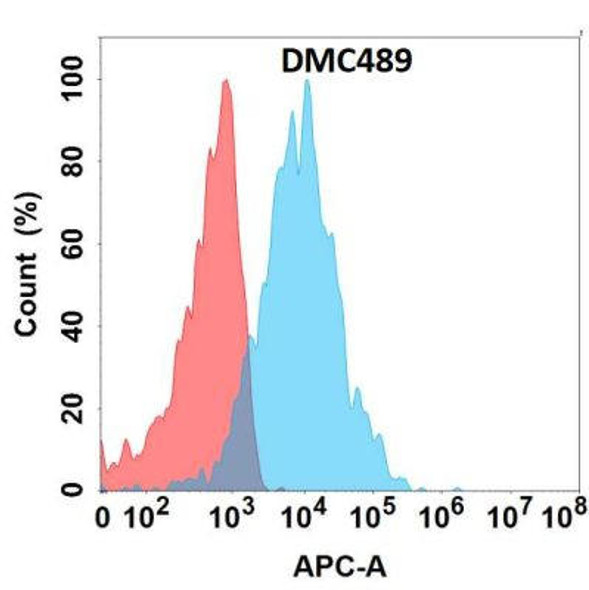 Anti-CRTAM Chimeric Recombinant Rabbit Monoclonal Antibody (HDAB0314)