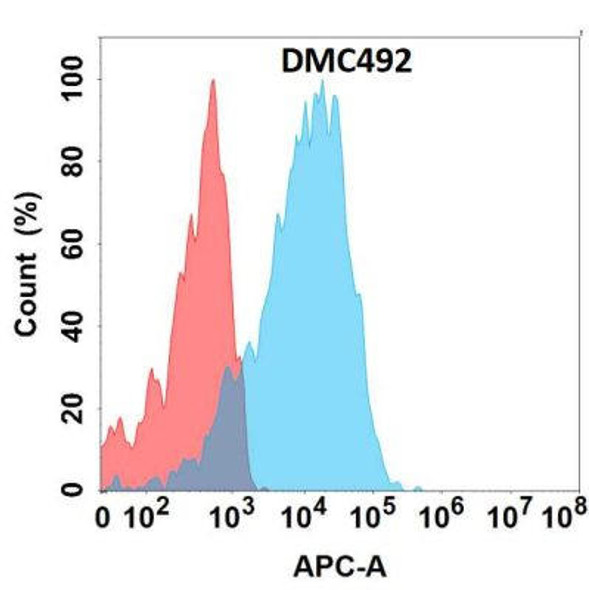 Anti-GPR75 Chimeric Recombinant Rabbit Monoclonal Antibody (HDAB0315)