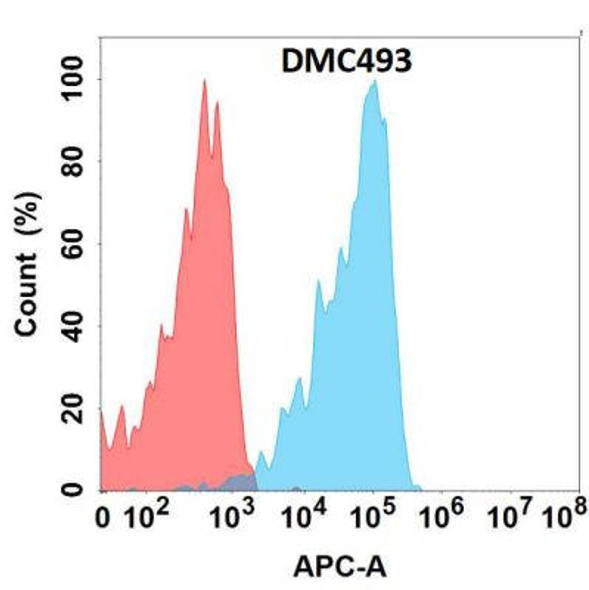 Anti-MUC1 Chimeric Recombinant Rabbit Monoclonal Antibody (HDAB0316)