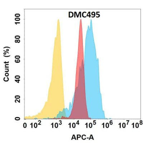 Anti-YAP1 Chimeric Recombinant Rabbit Monoclonal Antibody (HDAB0318)