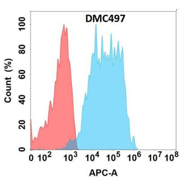 Anti-GPA33 Chimeric Recombinant Rabbit Monoclonal Antibody (HDAB0320)