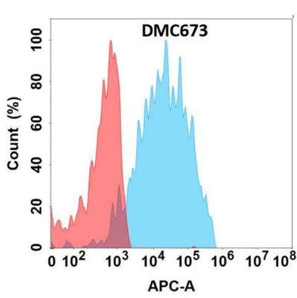 Anti-CRTAM Chimeric Recombinant Rabbit Monoclonal Antibody (HDAB0324)
