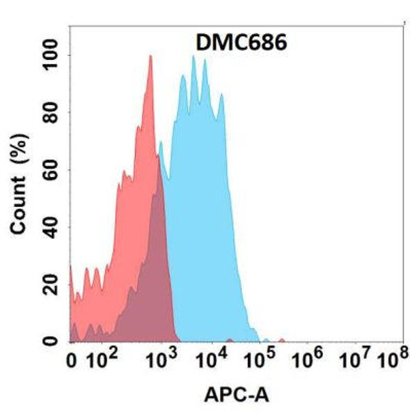 Anti-ALPP Chimeric Recombinant Rabbit Monoclonal Antibody (HDAB0334)